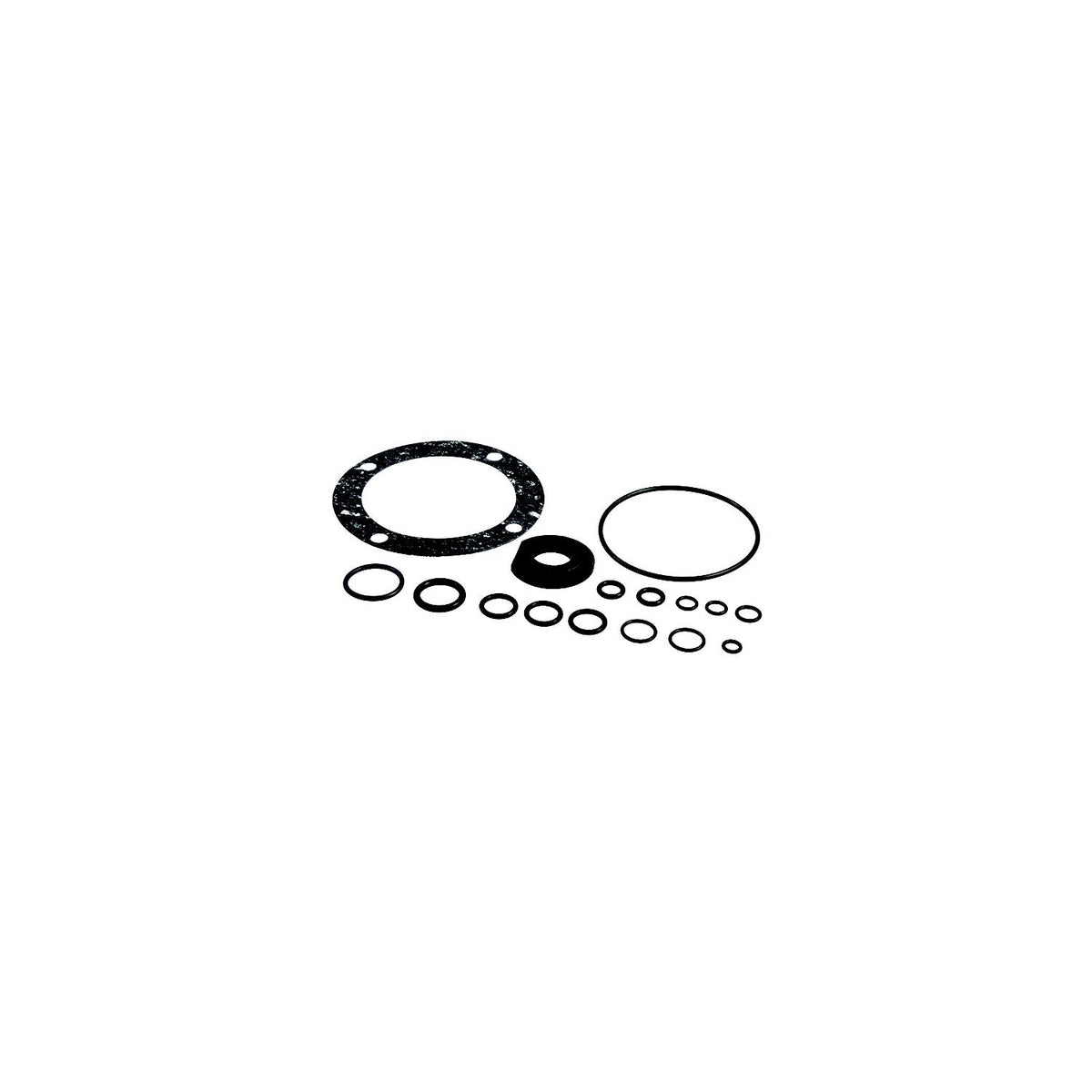 SeaStar HS5161 Seal Kit - Fits Select Capilano Helm Pumps
