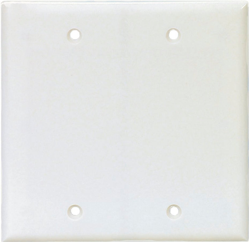 Eaton PJ23W Blank Wallplate, 0.08 in L, 4.87 in H, 4.94 in W, 2-Gang, Polycarbonate, White, High-Gloss, Box