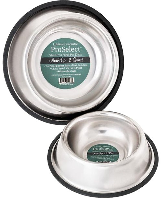 ProSelect ZW142 96/57696 Pet Feeding Dish, L, 96 oz Volume, Stainless Steel, Gold