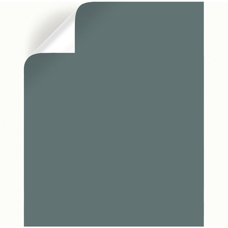 Magnolia Home by Joanna Gaines Duke Gray Peel & Stick Color Sample, Pack of 25