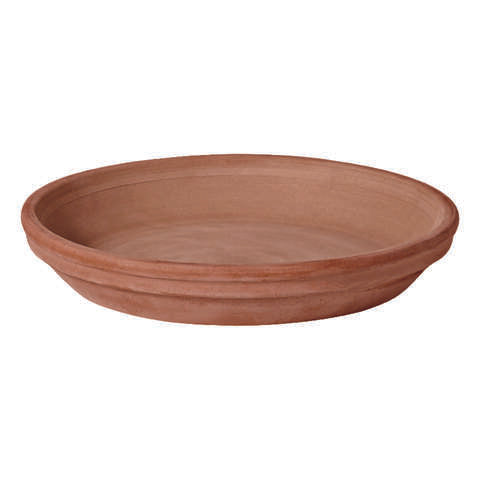 Deroma 1.2 in. H X 1.2 in. D X 9.3 in. D Clay Traditional Plant Saucer Chocolate, Pack of 16
