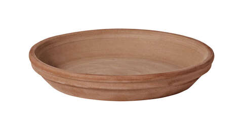 Deroma 1 in. H X 1 in. D X 4 in. D Clay Standard Plant Saucer Terracotta, Pack of 24