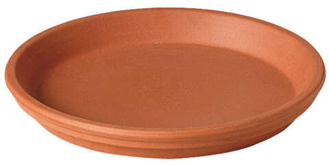 Deroma 1 in. H X 6.75 in. D Clay Traditional Plant Saucer Terracotta, Pack of 20