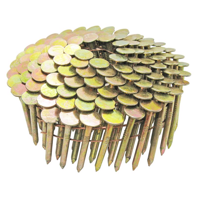 Grip-Rite 3/4 in. L X 11 Ga. Angled Coil Electro Galvanized Roofing Nails 15 deg 7200 pk