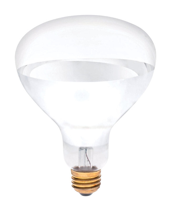 Westinghouse 250 W R40 Reflector Incandescent Bulb E26 (Medium) White 1 pk, Pack of 6