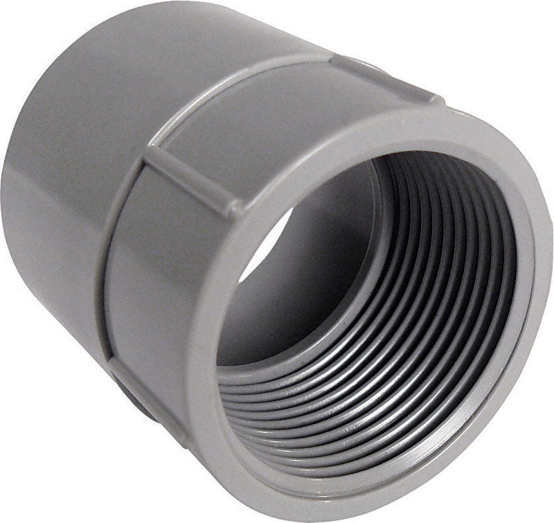 Cantex 2 in. D PVC Female Adapter For PVC 1 pk