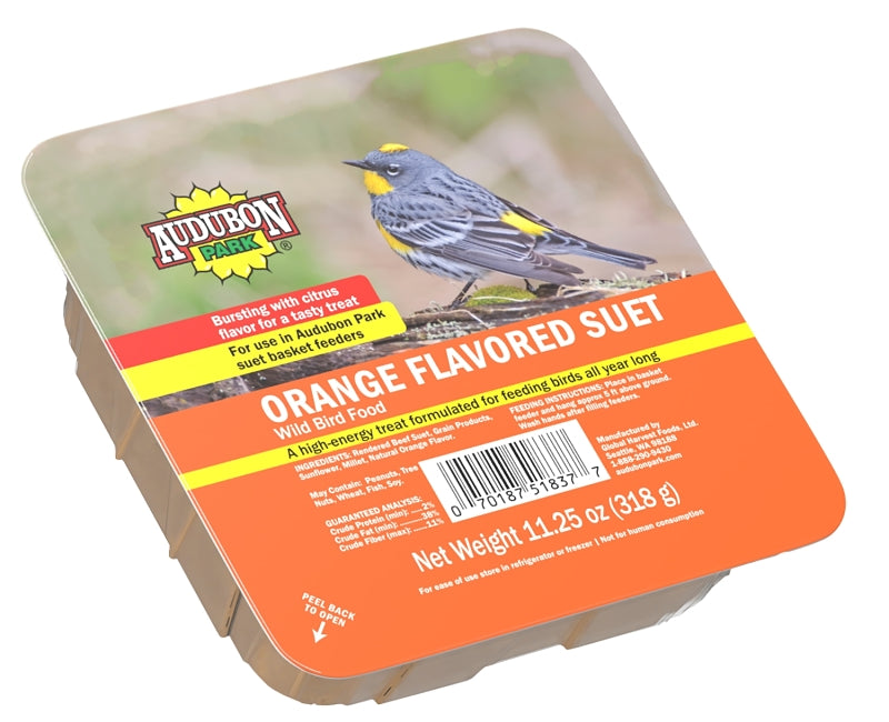 Feathered Friend 14371 Wild Bird Suet, Cake, Orange, Pack of 12