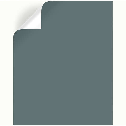 Magnolia Home by Joanna Gaines Duke Gray Peel & Stick Color Sample, Pack of 25