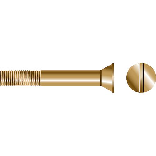 Slotted Strut Bolt - Flat Head