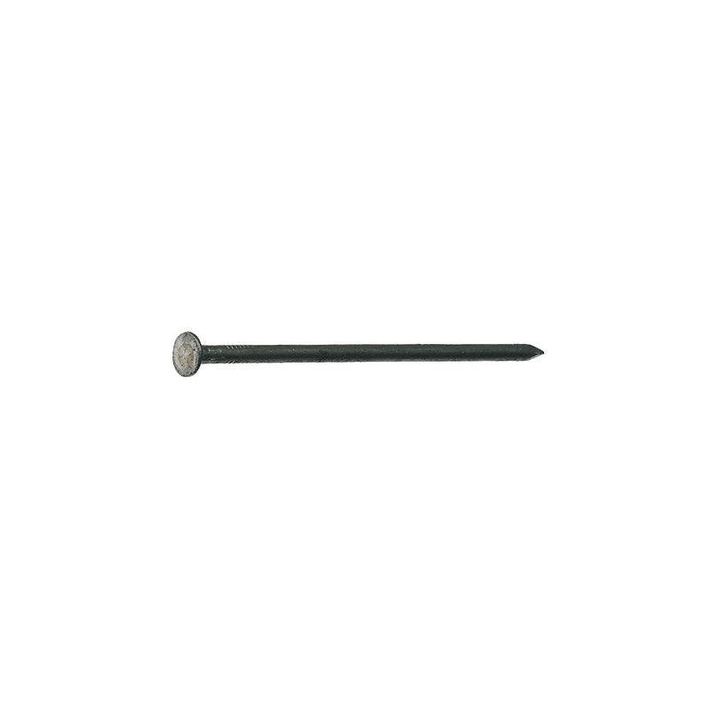 Grip-Rite 16D 3-1/2 in. Box Bright Steel Nail Flat Head 50 lb