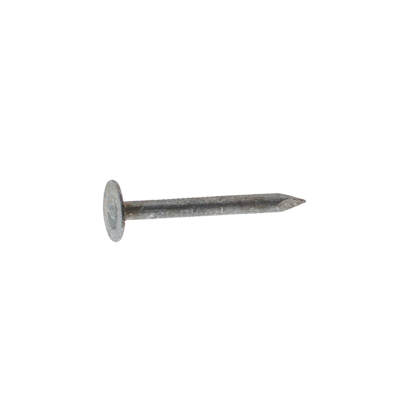 Grip-Rite 7/8 in. Roofing Electro-Galvanized Steel Nail Flat Head 1 lb, Pack of 12