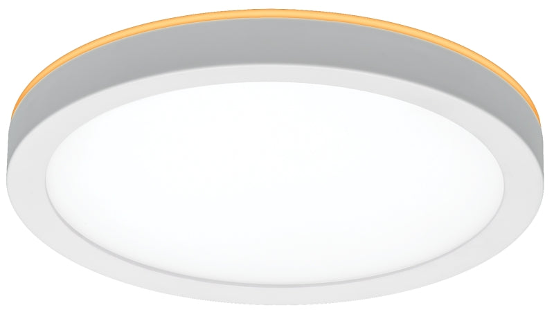 ETI LowPro Series 56568114 Ceiling Light with Night Light, 120 V, 12 W, LED Lamp, 800 Lumens, White Fixture