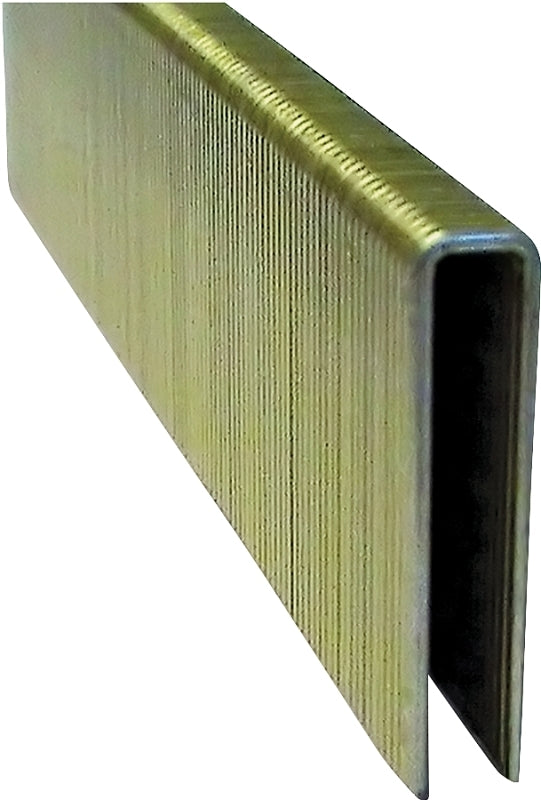 ProFIT 718233 Crown Staple, 1/4 in W Crown, 1-1/2 in L Leg, 18 ga, Electro-Galvanized
