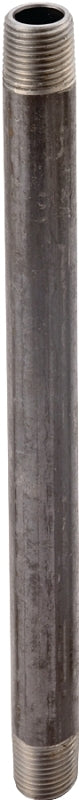 ProSource 2X4B Pipe Nipple, 2 in, Male, Steel, 40 Schedule, 4 in L