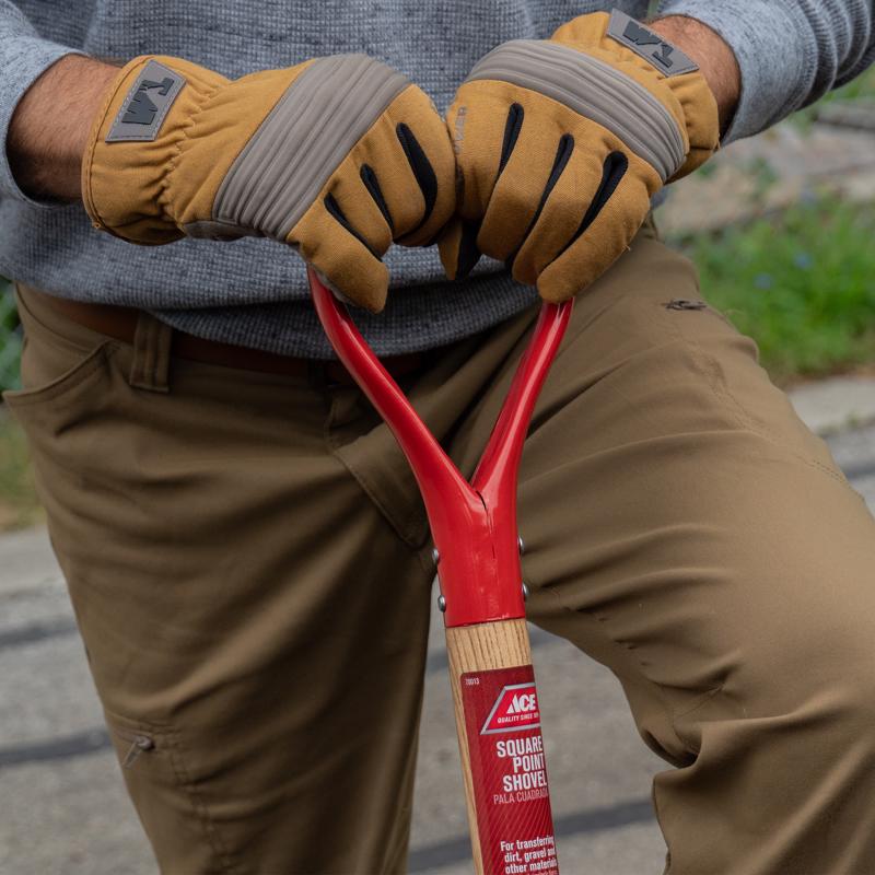 Ace 41.25 in. Steel Square Transfer Shovel Wood Handle, Pack of 6