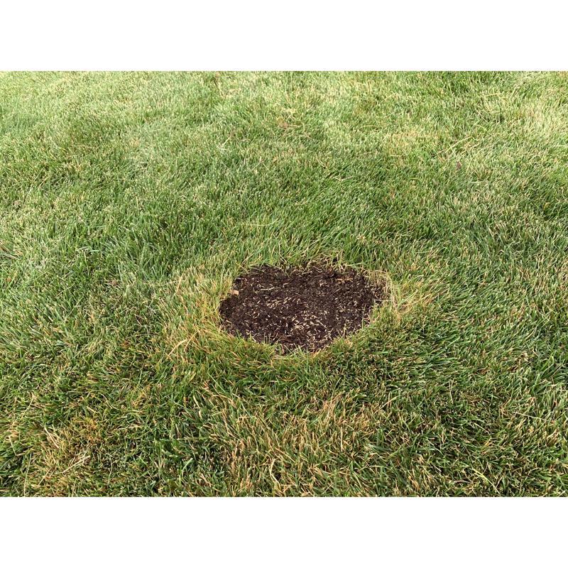 Ace Rapid Repair Pod All Grasses Full Sun Fertilizer/Mulch/Seed 15 pk