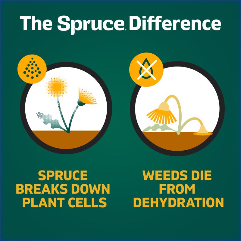 Spruce Weed and Grass Killer Refill RTU Liquid 64 oz