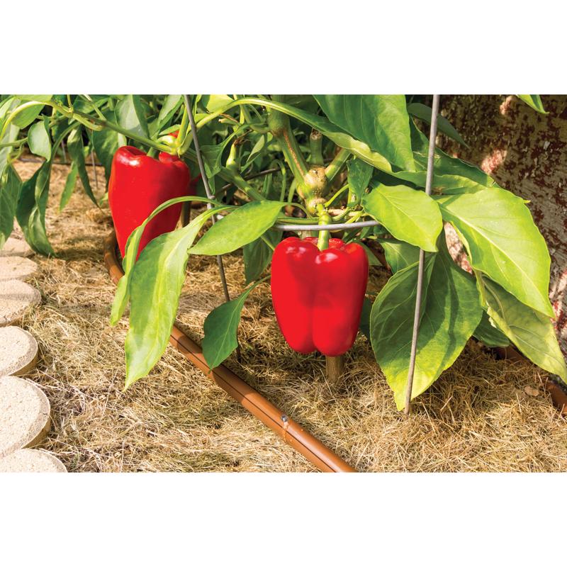Rain Bird Polyethylene Drip Irrigation Emitter Tubing 1/2 in. D X 250 ft. L