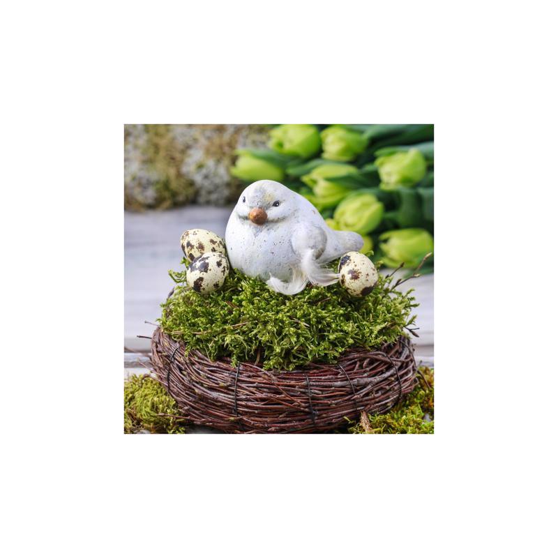 Mosser Lee Organic Green Sheet Moss 325 sq in