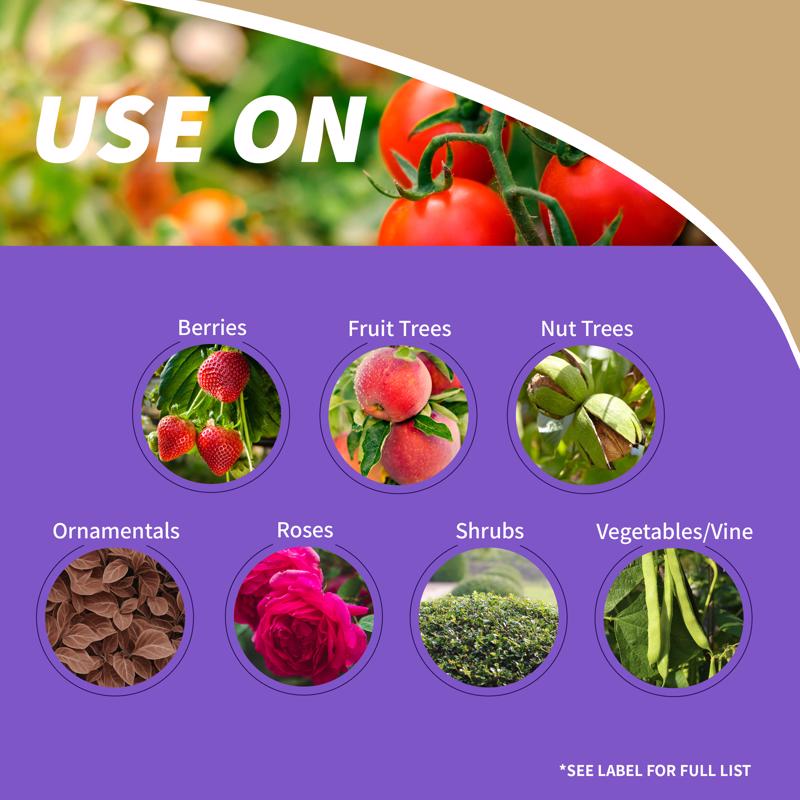 Bonide Tomato & Vegetable 3 in 1 Organic 3 in 1 Garden Insect Spray Liquid 32 oz