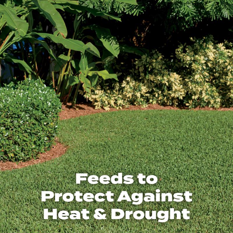 Scotts Turf Builder All-Purpose Lawn Fertilizer For All Grasses 10000 sq ft