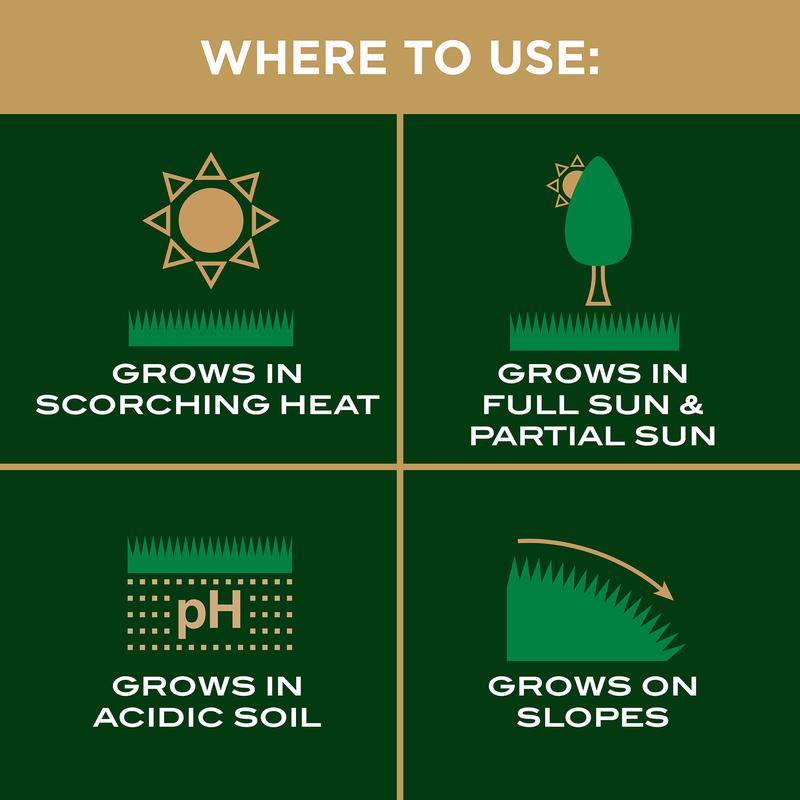 Scotts EZ Seed Centipede Grass Sun or Shade Grass Spot Repair Mix 3.75 lb