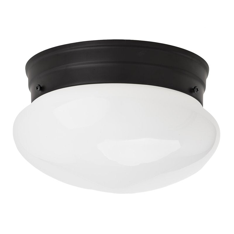 Boston Harbor OG24007 Ceiling Light, 120 V, 1-Lamp, Black Fixture, Matte Black Fixture