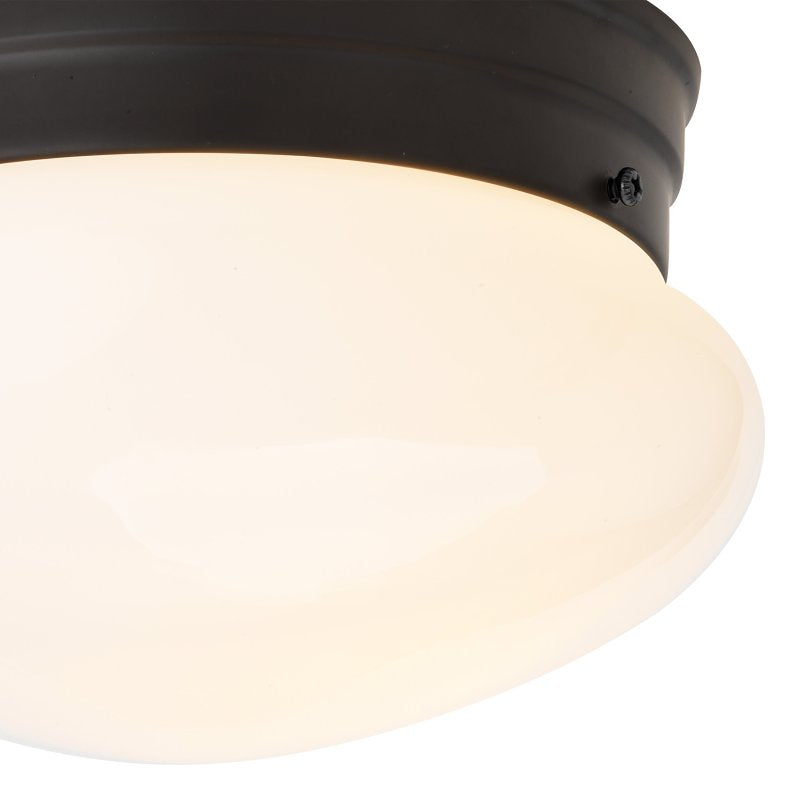 Boston Harbor OG24007 Ceiling Light, 120 V, 1-Lamp, Black Fixture, Matte Black Fixture