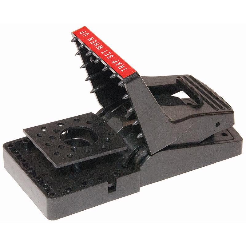 JT Eaton JAWZ Pro Series Small Snap Trap For Chipmunks and Rats 1 pk