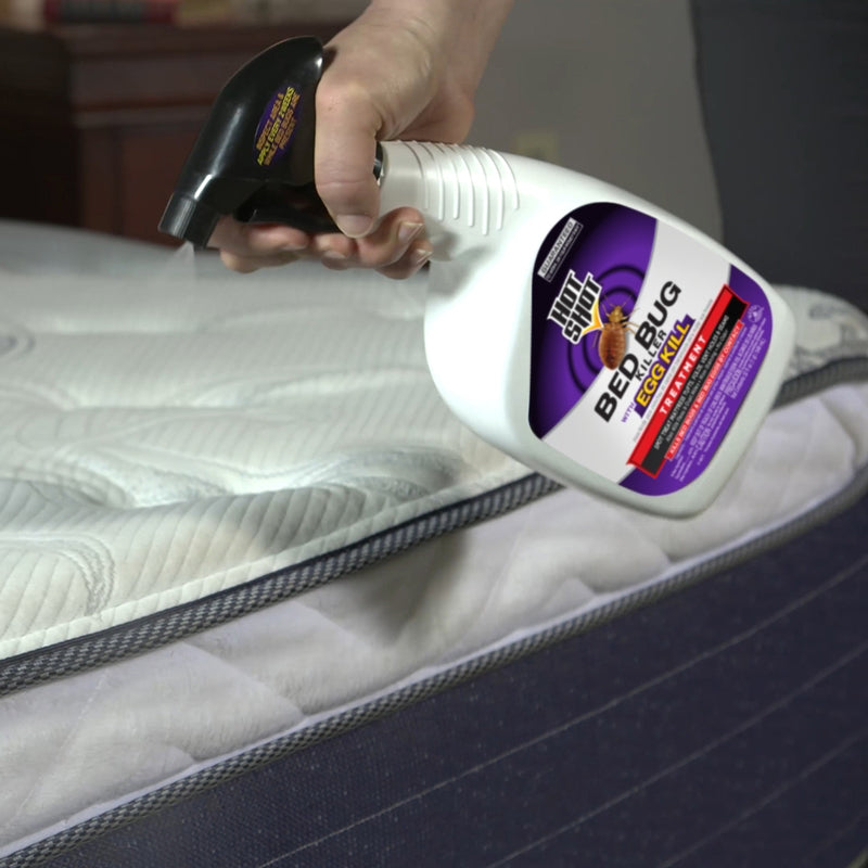 Hot Shot Bed Bug Killer Liquid 32 oz, Pack of 12