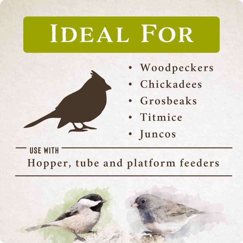 Songbird Selections Perfect Balance Wild Bird Sunflower Seeds and Peanuts Wild Bird Food 5 lb
