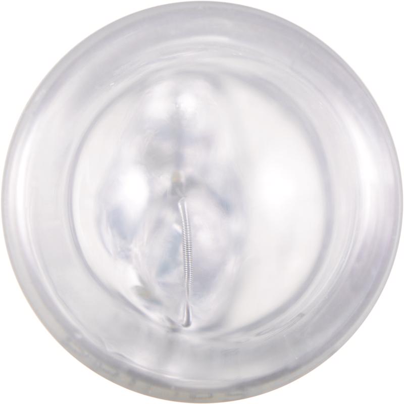 Philips Incandescent Courtesy/Glove/License/Trunk Miniature Automotive Bulb 168LLB2