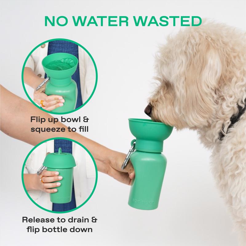 Springer Green Flip Plastic Pet Travel Bottle For Dogs