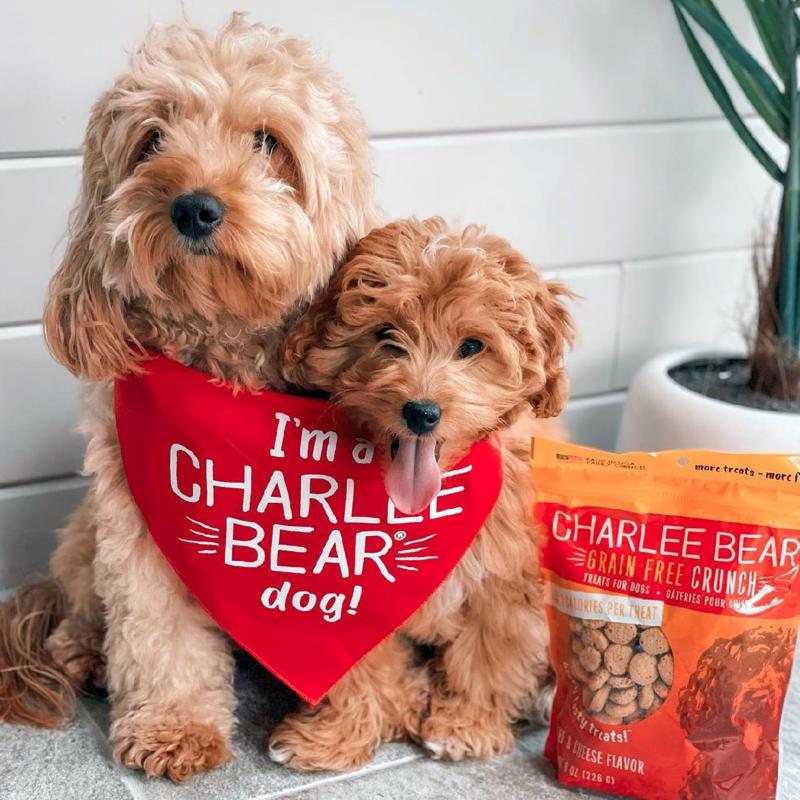 Charlee Bear Grain Free Crunch Chicken/Pumpkin/Apple Grain Free Biscuit For Dogs 8 oz 1 pk