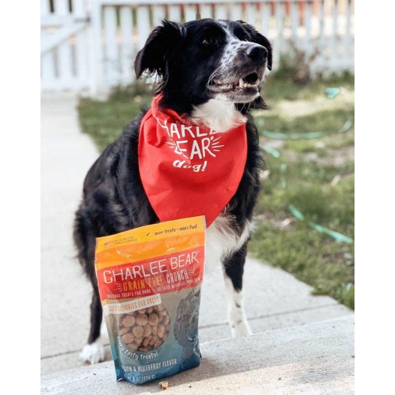 Charlee Bear Grain Free Crunch Bacon Blueberry Grain Free Biscuit For Dogs 8 oz 1 pk