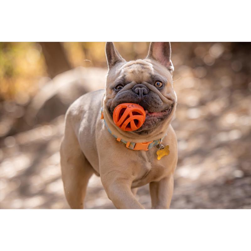 Chuckit! Breathe Right For Dog Orange Ball Dog Toy 1 pk