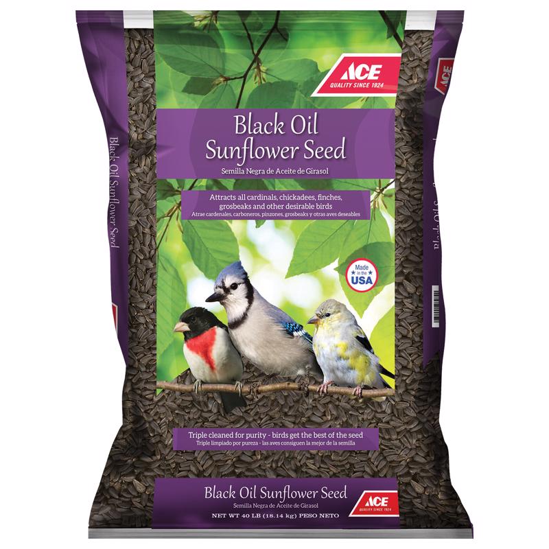 Ace Songbird Black Oil Sunflower Seed Wild Bird Food 40 lb