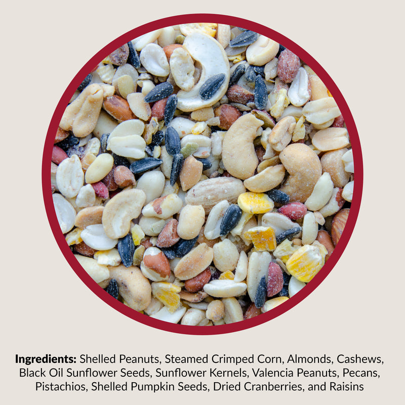 Lyric Wild Bird Food 5 lb