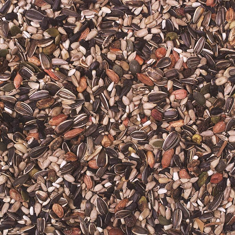 Wild Delight Nut N Berry Assorted Species Sunflower Kernels Wild Bird Food 5 lb, Pack of 6