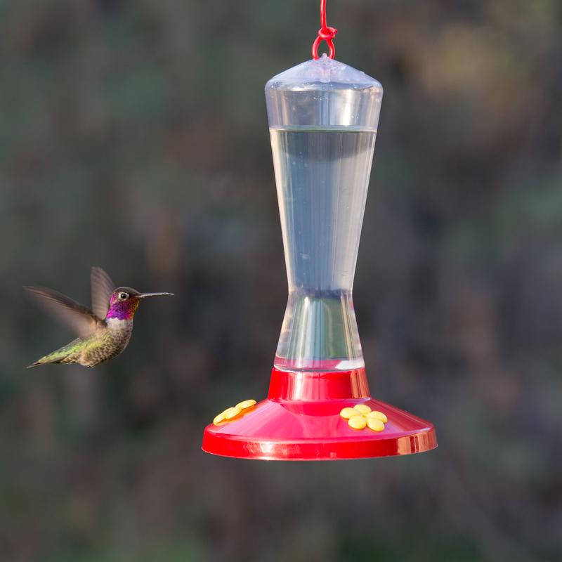 Perky-Pet Hummingbird 8 oz Plastic Nectar Bird Feeder 3 ports