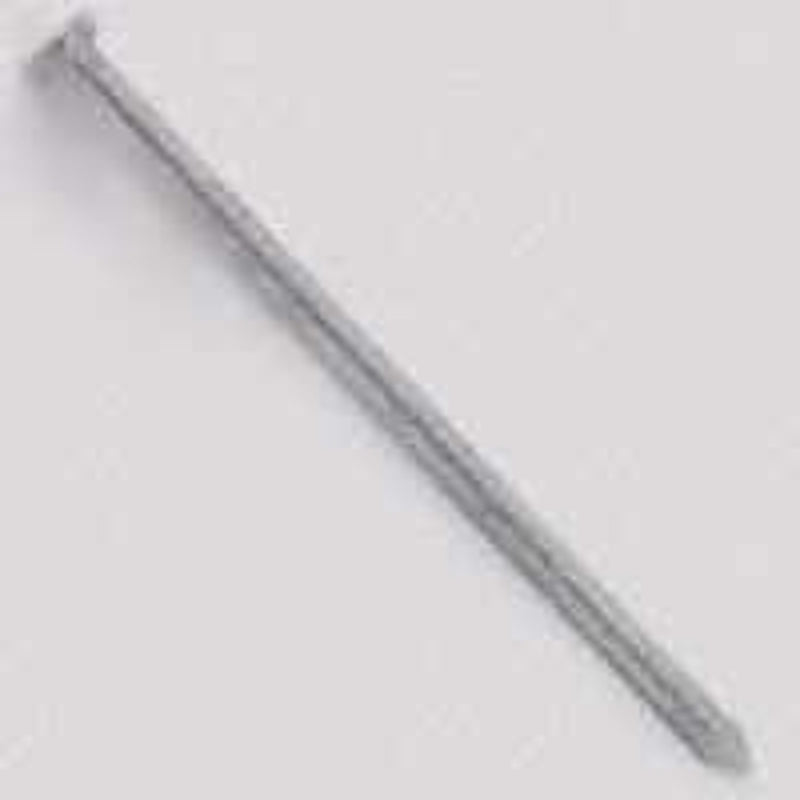 NAIL SDG SMTH GALV 8D 50LB