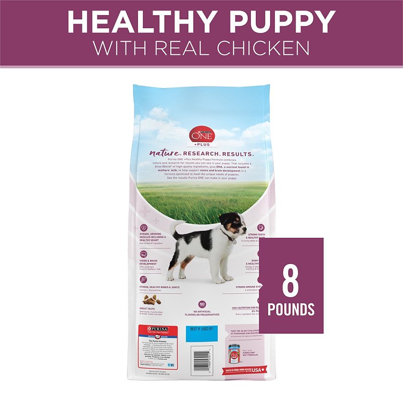 Purina SmartBlend 57011 Dog Food, Dry, Chicken Flavor, 8 lb