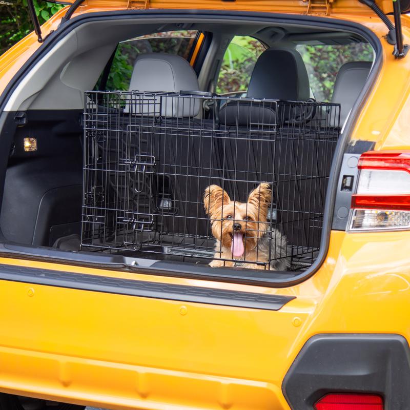 Pet Essentials Small Steel Dog Crate Black 20 in. H X 18 in. W X 24 in. D