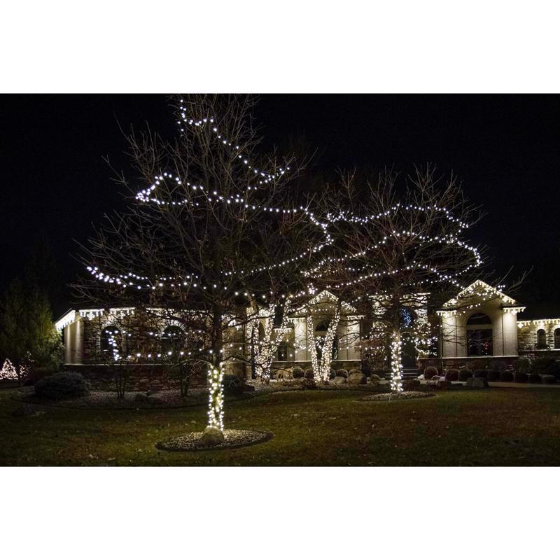 Celebrations LED Grand Mini Warm White 50 ct String Christmas Lights 25 ft.