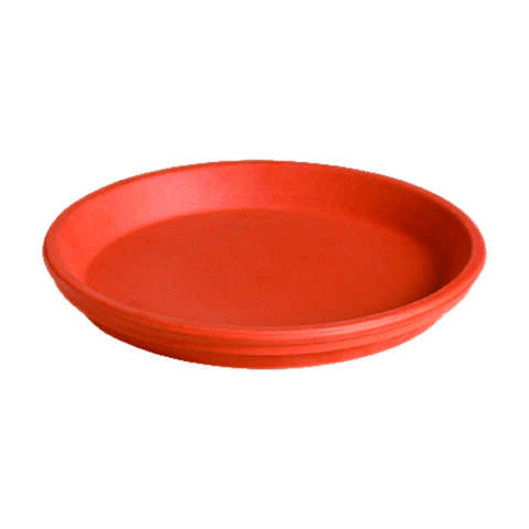 Deroma 1.2 in. H X 8.3 in. D Clay Traditional Plant Saucer Terracotta, Pack of 12