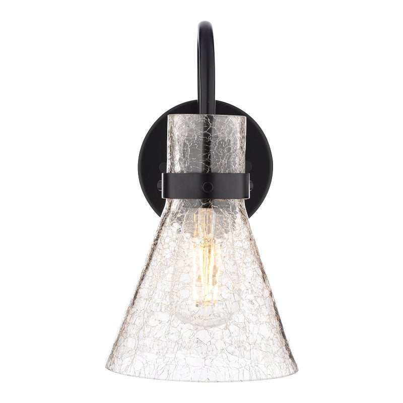 Boston Harbor D2021021, 120 V, 60 W, 1-Lamp, Metal Fixture, Black Fixture, Matte Fixture