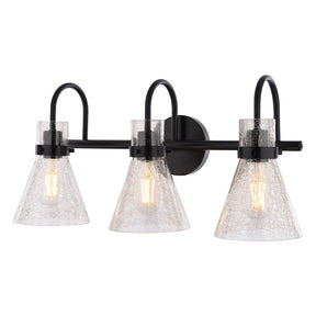 Boston Harbor D2021022, 120 V, 60 W, 3-Lamp, Metal Fixture, Black Fixture, Matte Fixture