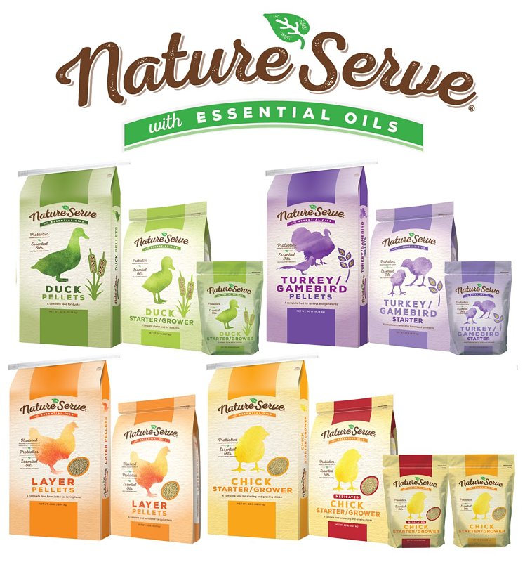NatureServe 290114 Chick Starter and Grower Feed, 20 lb