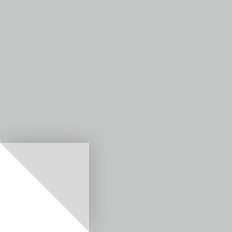 Samplize Benjamin Moore Silver Lake Peel & Stick Color Sample 1598, Pack of 8