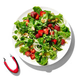 Good Grips 11308600 Strawberry Huller, 3-3/4 in L, 1.05 in W, 2-1/4 in H, Stainless Steel, Red